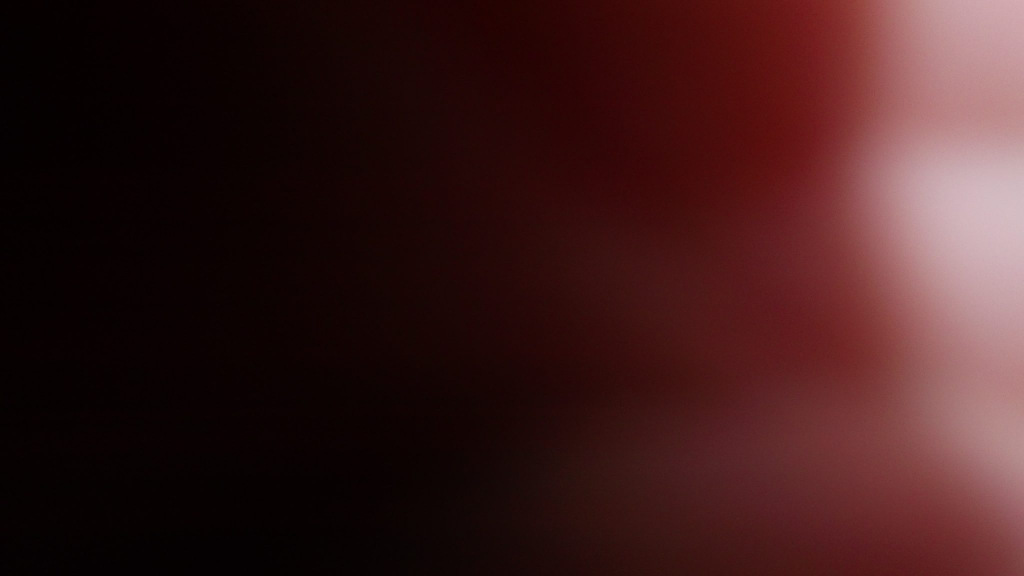 DSCF5582