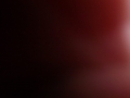 DSCF5582