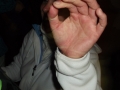 DSCF5583