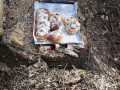 IMG-20230319-WA0021