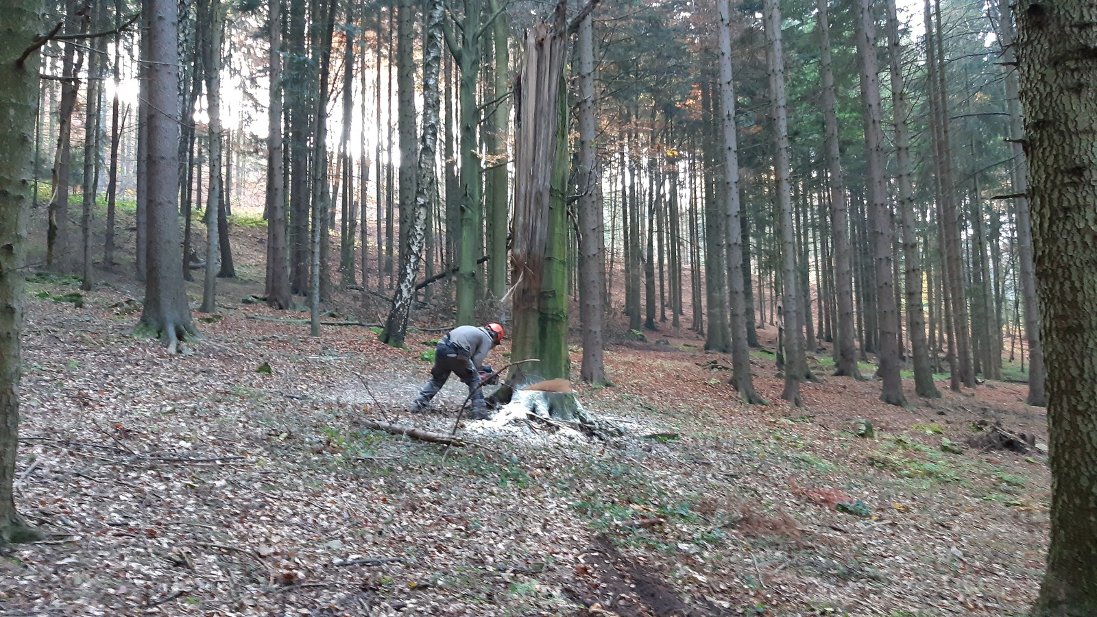 20191026_092300