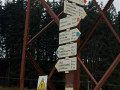 IMG_20230415_104119