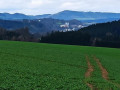 IMG_20230415_111004