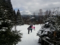 IMG_20190312_123636