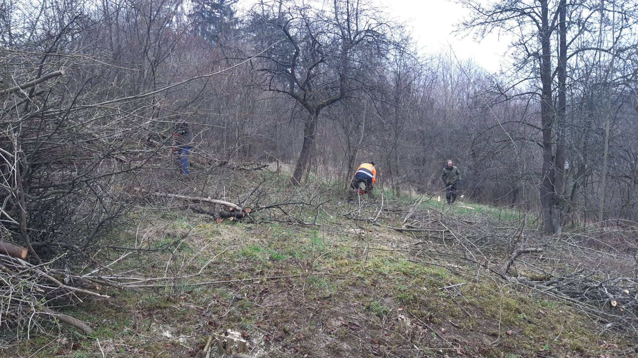 IMG-20230409-WA0013