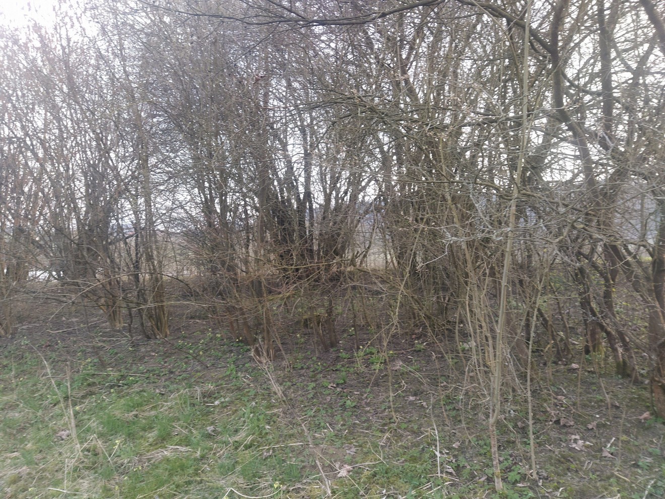 původní stav