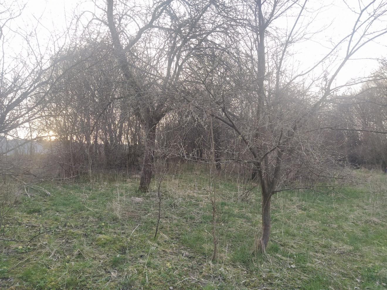 původní stav