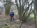 IMG-20230409-WA0010