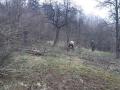 IMG-20230409-WA0013