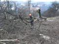 IMG-20230409-WA0016
