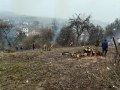 IMG-20230409-WA0018