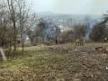 IMG-20230409-WA0019