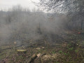 IMG_20230407_083601