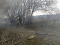 IMG_20230407_083614