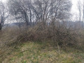 IMG_20230407_083625