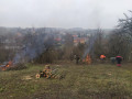 IMG_20230407_112655