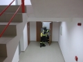 DSCF1336