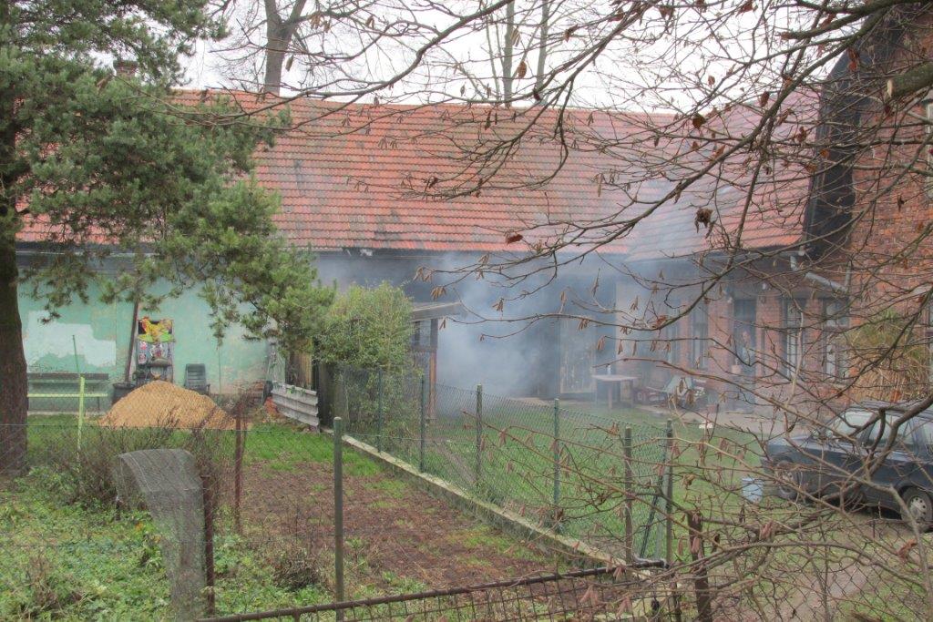 IMG_5487.jpg