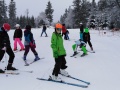 IMG_20200207_094853