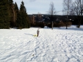 IMG_20170225_152321