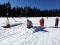 IMG_20170227_101941